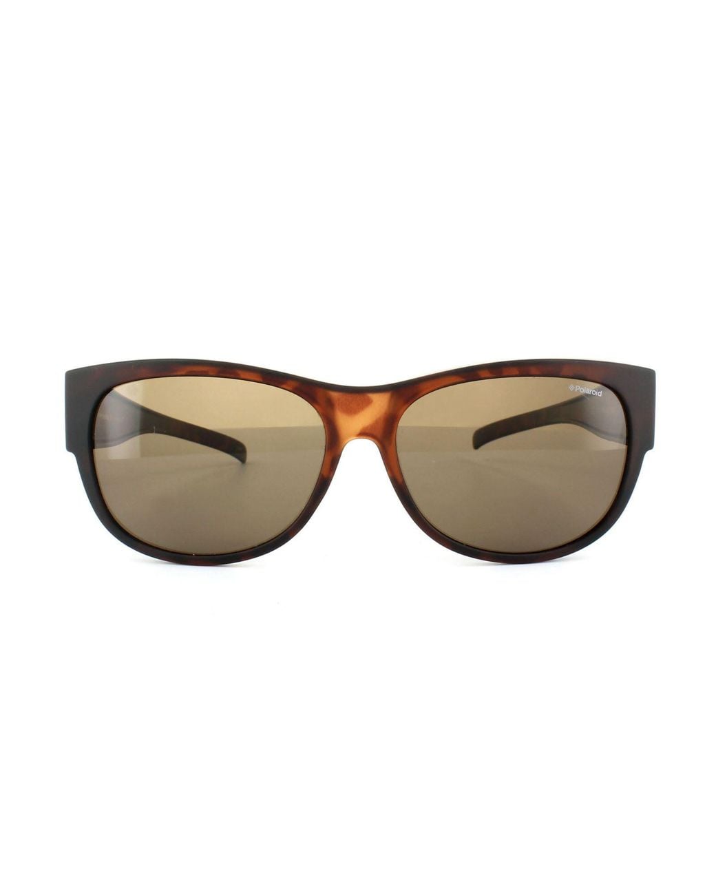 Polaroid Brown Suncovers Oval Dark Havana Polarized Sunglasses