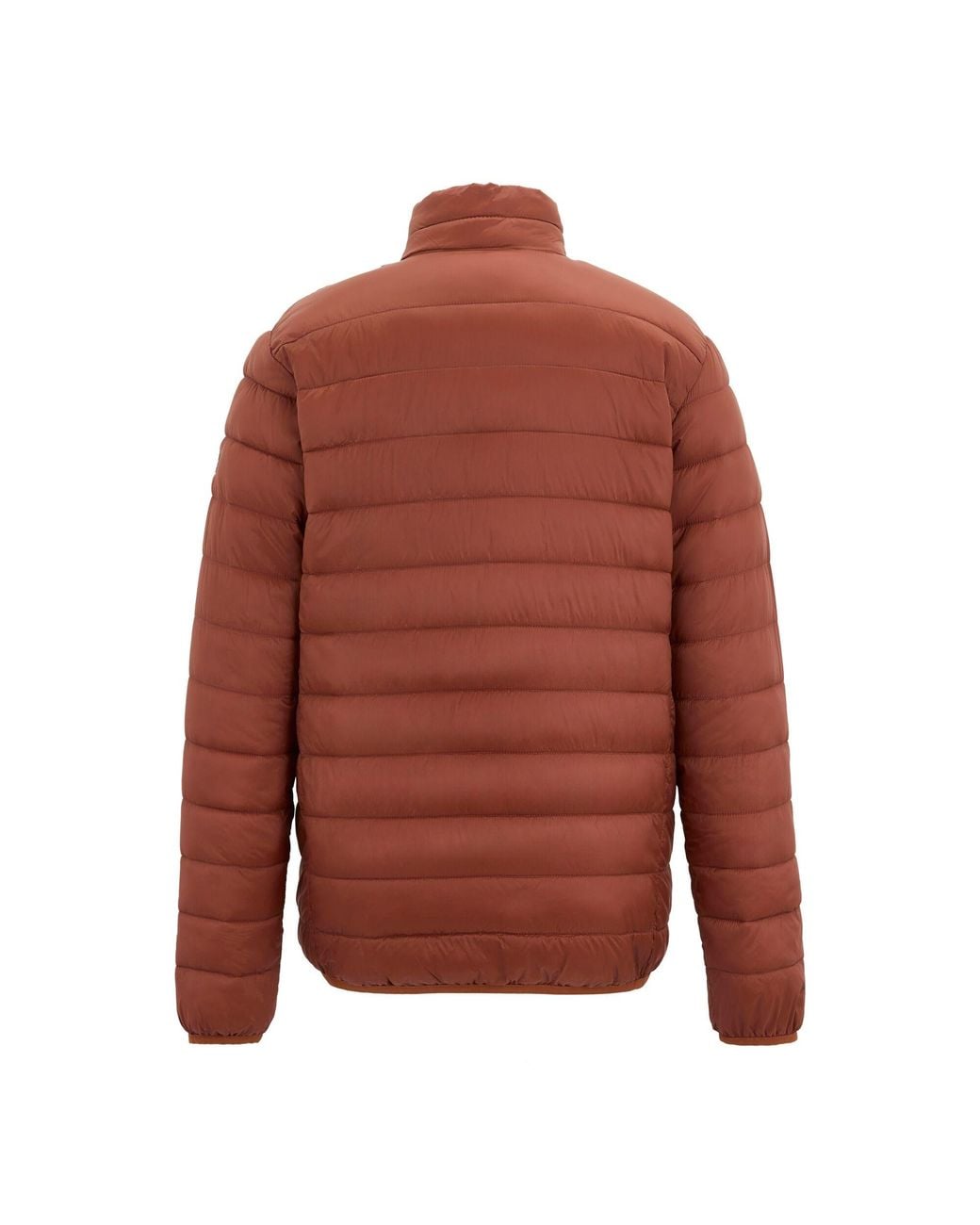 Regatta Brown Marizion Padded Jacket (Burnt Henna) for men