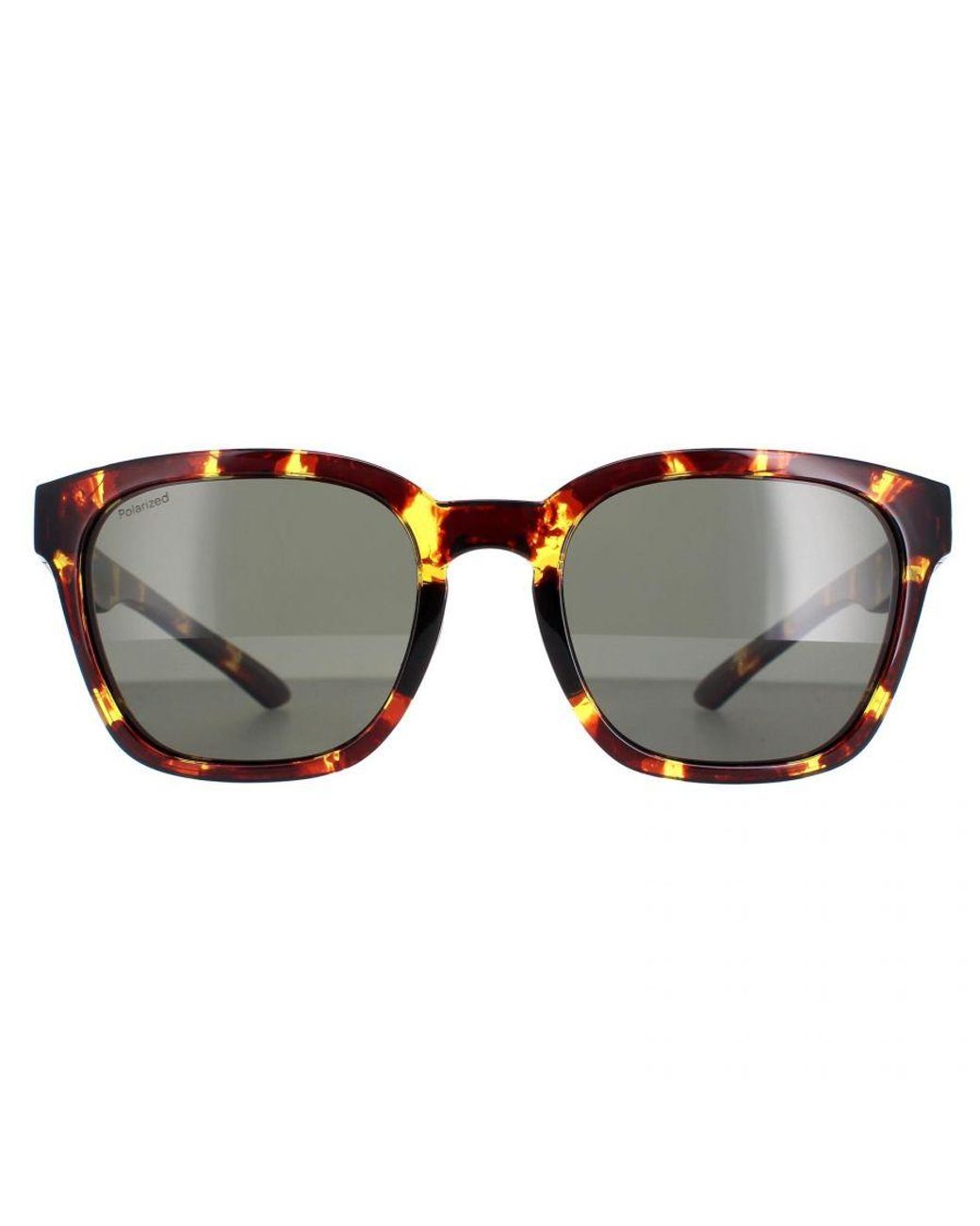 Smith Brown Square Tortoise Polarized Founder Slim for men