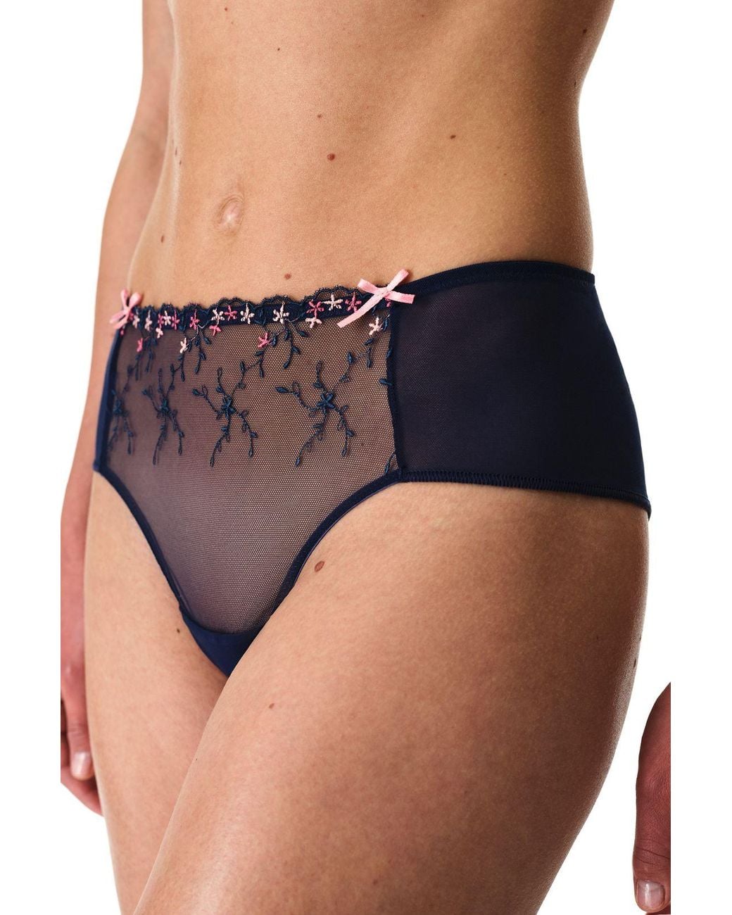 Penti Blue Embroidered Floral Hipster Briefs