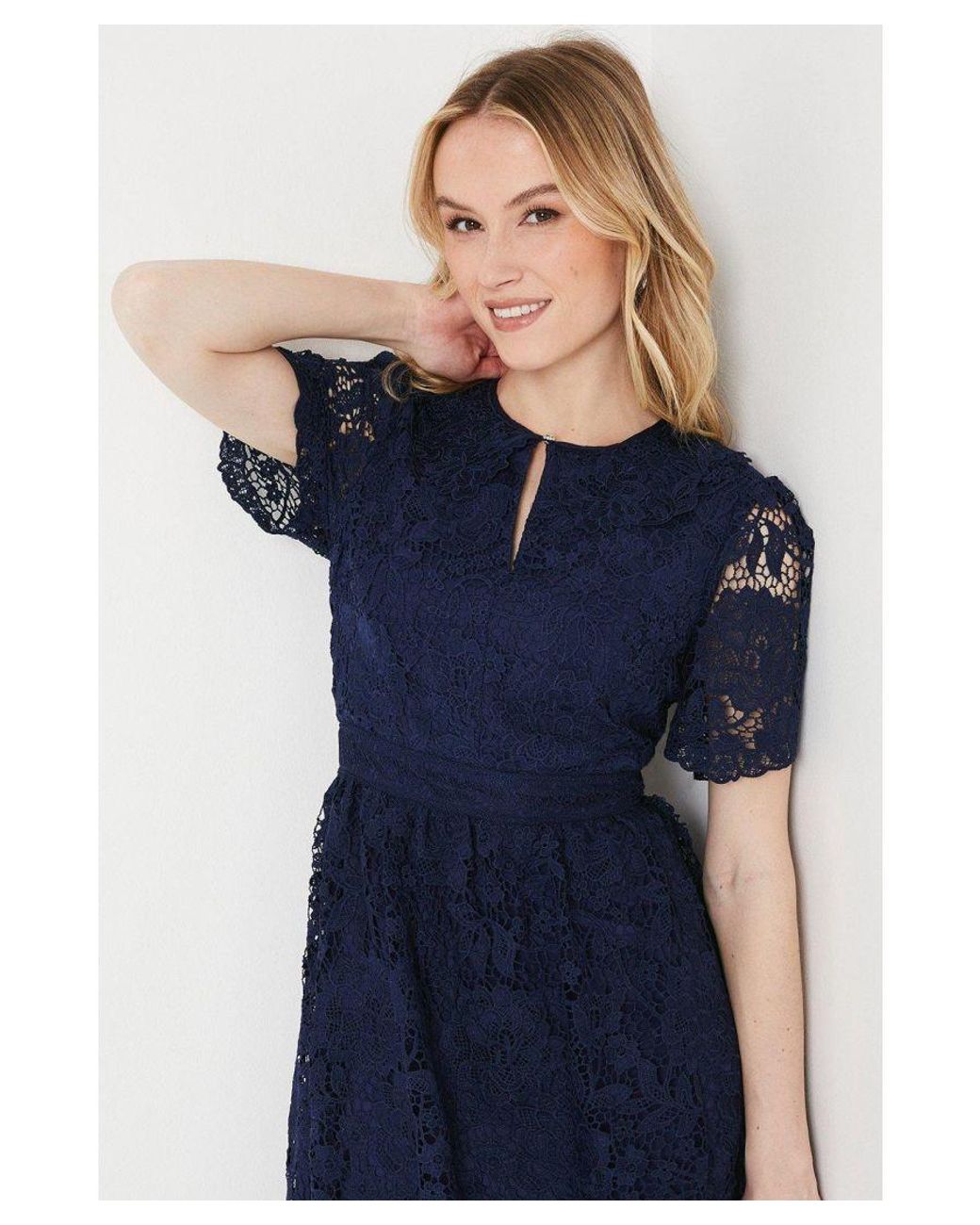 Oasis Blue Occasion Lace Collared Midi Dress