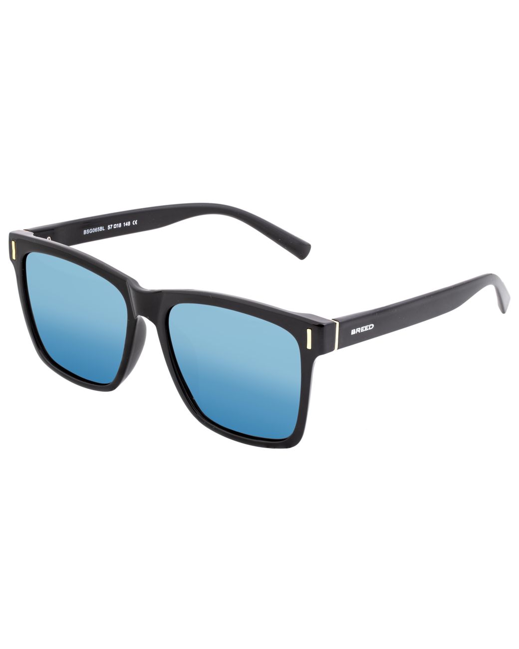 Breed Blue Pictor Polarized Sunglasses for men