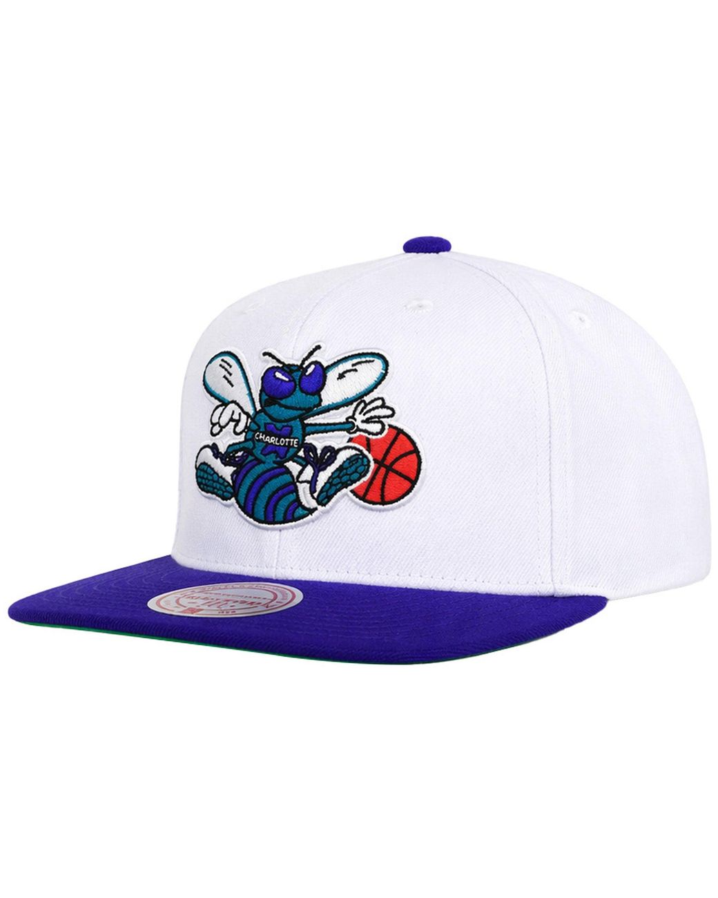 Mitchell & Ness White Nba Charlotte Hornets 2 Tone 2.0/ Cap