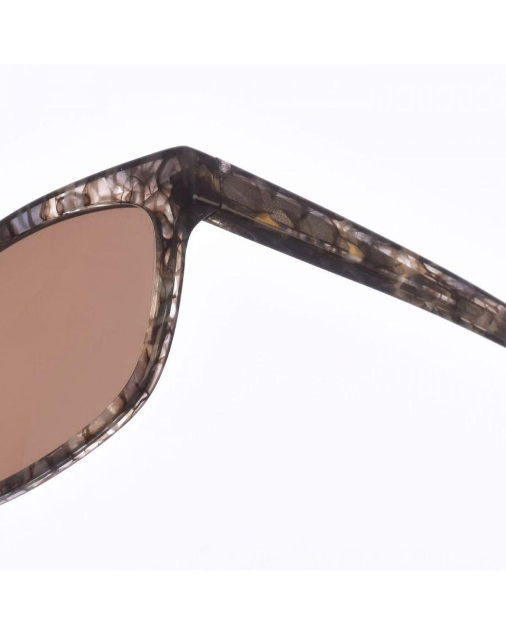 Zen Brown Comet Sunglasses