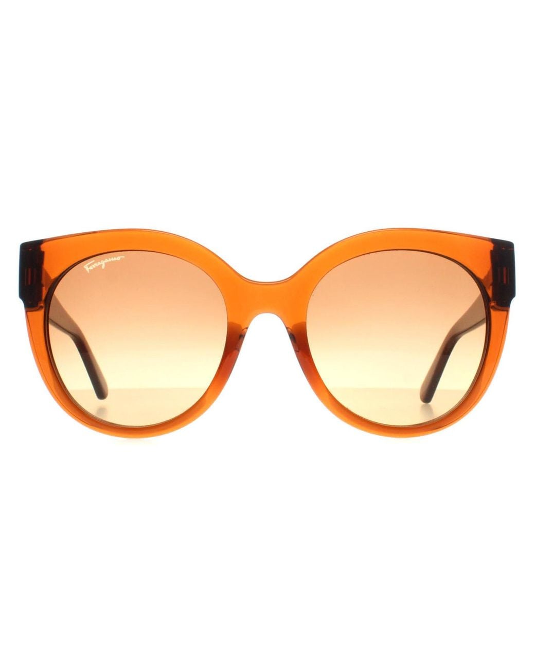 Ferragamo Brown Cat Eye Crystal Caramel Gradient Sf1031S