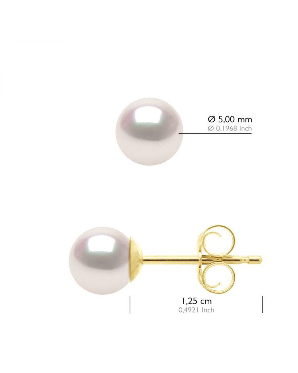Ateliers Saint Germain Metallic Earrings