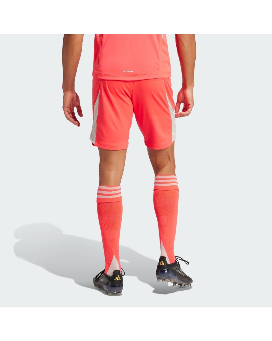 Adidas Originals Red Tiro 25 Pro Goalkeeper Shorts for men