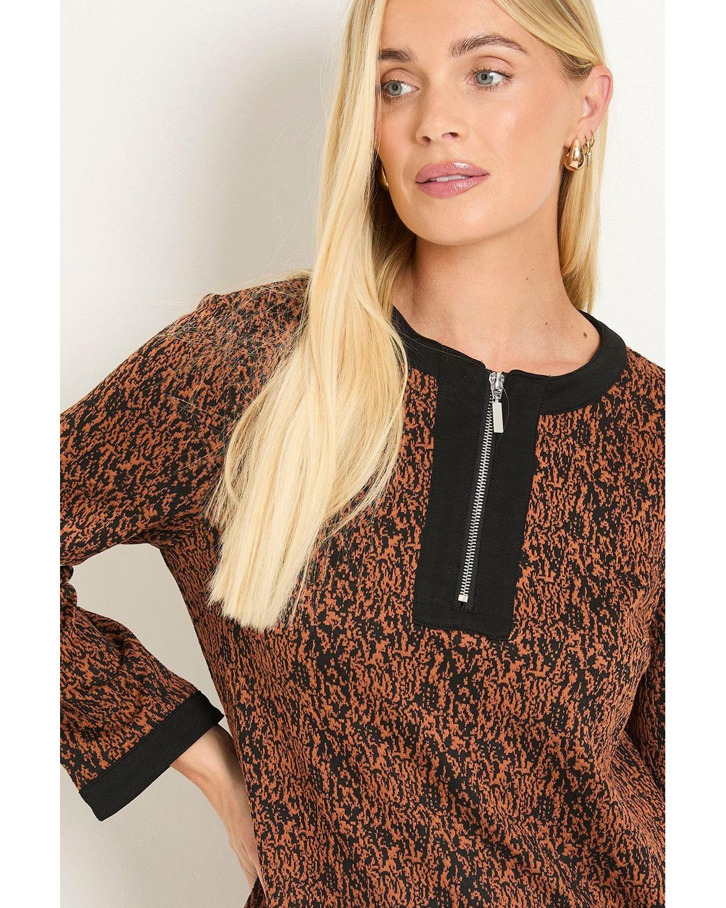 Wallis Brown Petite Jacquard Ponte Contrast Shift Dress