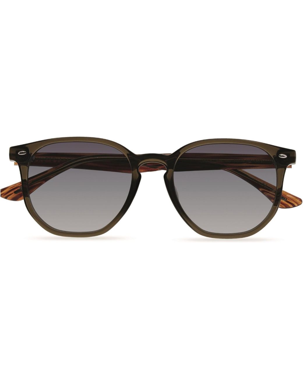 Ted Baker Brown Dock Sunglasses for men