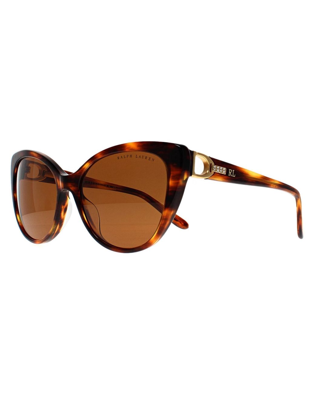 Ralph Lauren Brown Cat Eye Striped Havana Gradient Rl8215Bu