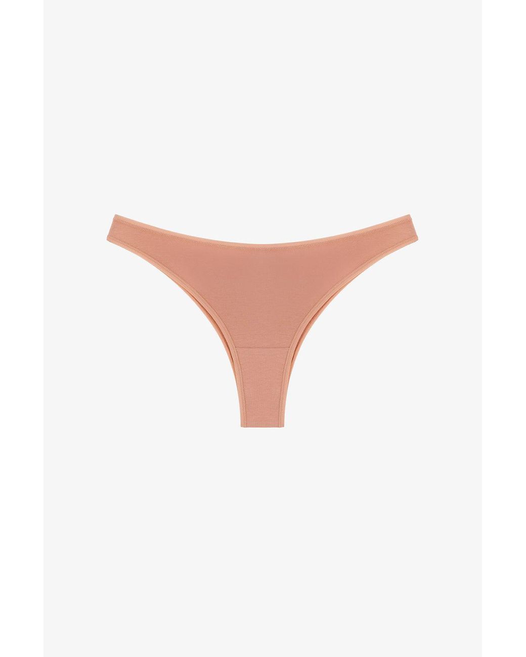 Penti Brown Terra Brazilian Briefs