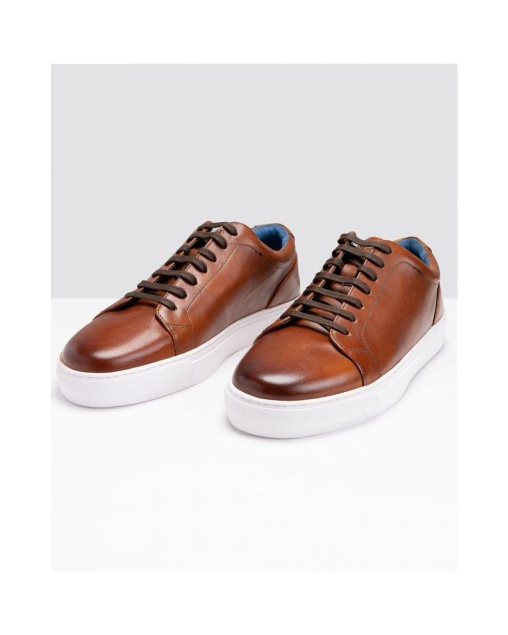 Oliver Sweeney Brown Hayle Antiqued Calf Leather Trainers for men