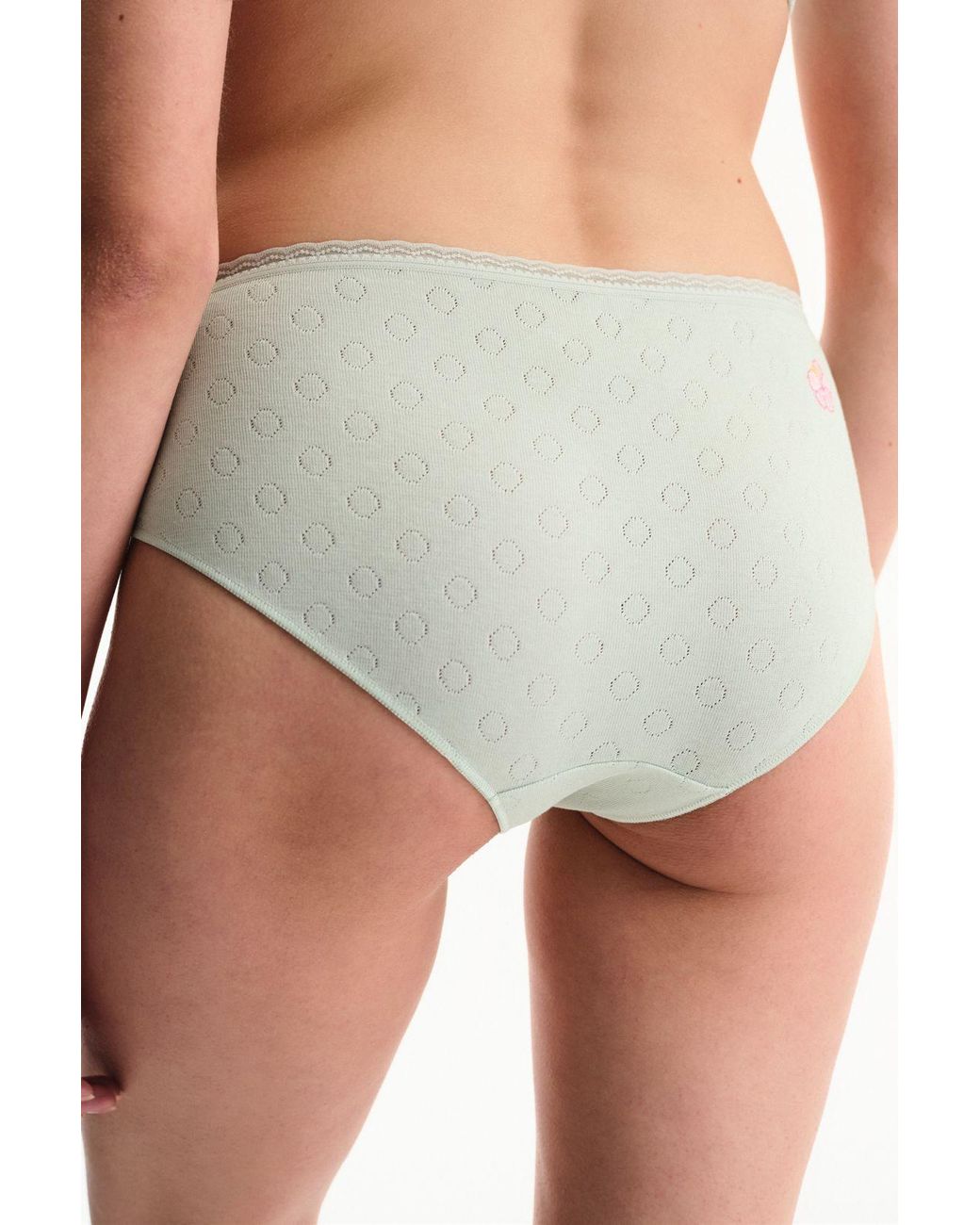 Penti Multicolor Pointel Floral Hipster