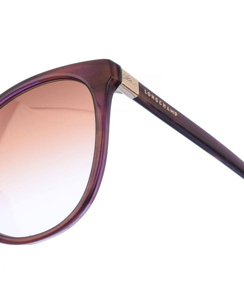 Longchamp Brown Lo688S Sunglasses