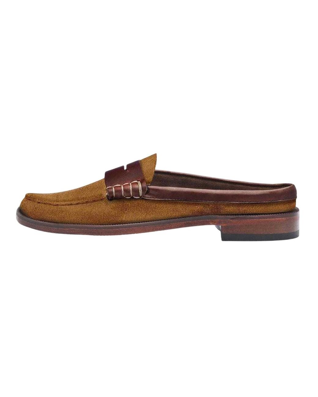 Sebago Brown Ladies Dan Suede Loafers (Golden/Dark)