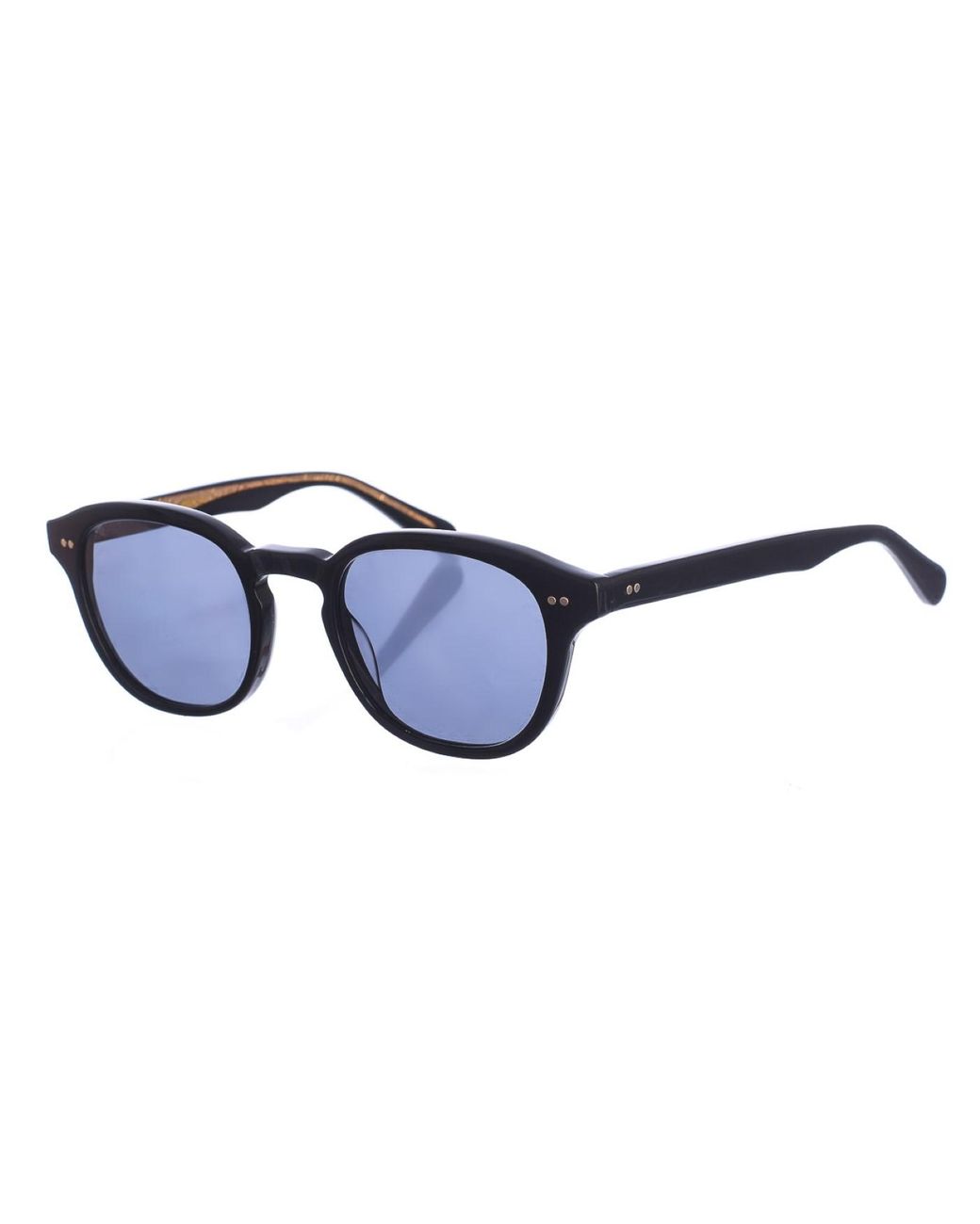 Zen Blue Z509 Pantos Shaped Acetate Sunglasses