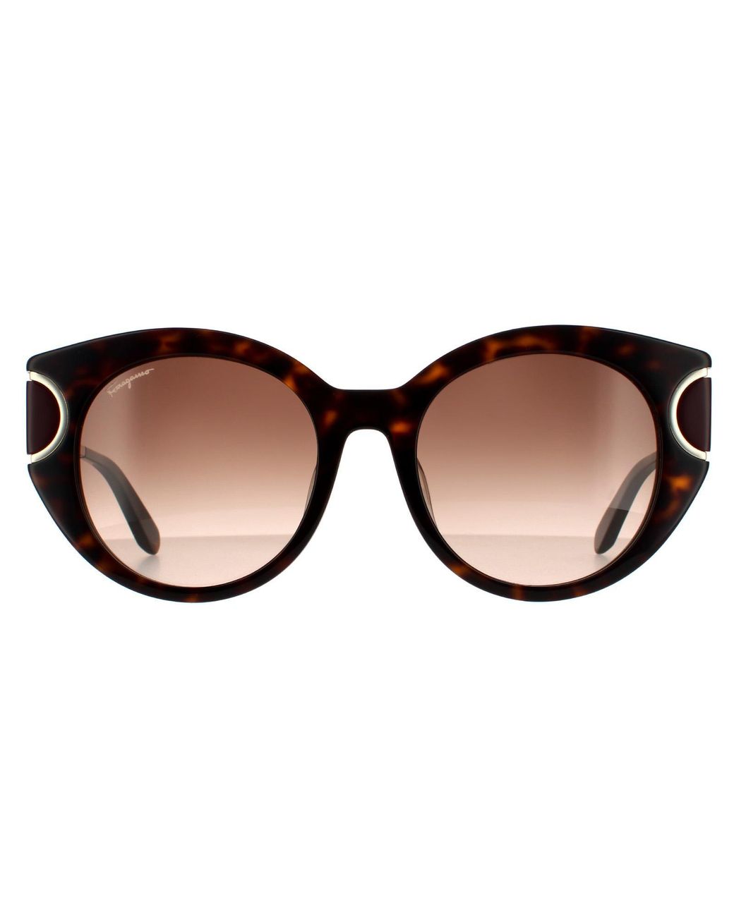 Ferragamo Brown Cat Eye Tortoise Gradient 90041091