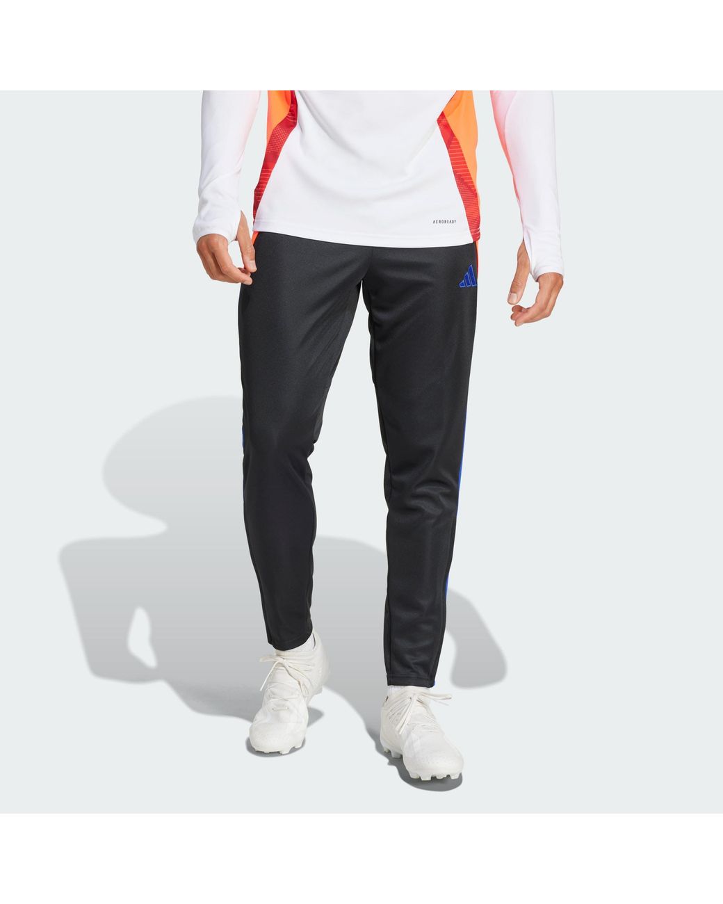 Adidas Originals Multicolor Tiro 24 Slim Training Pants for men
