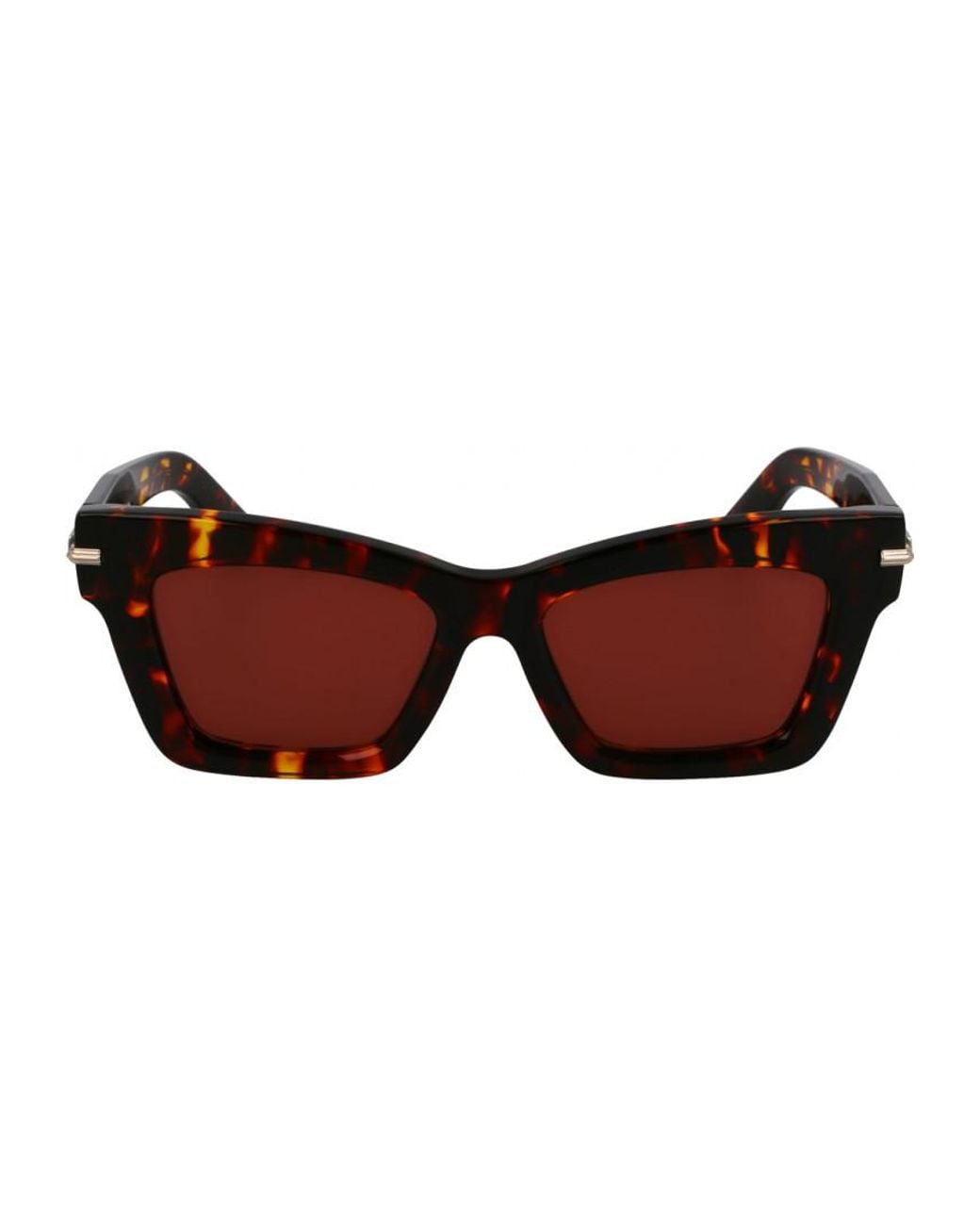 Ferragamo Brown Sf2031S 52 242 Sunglasses