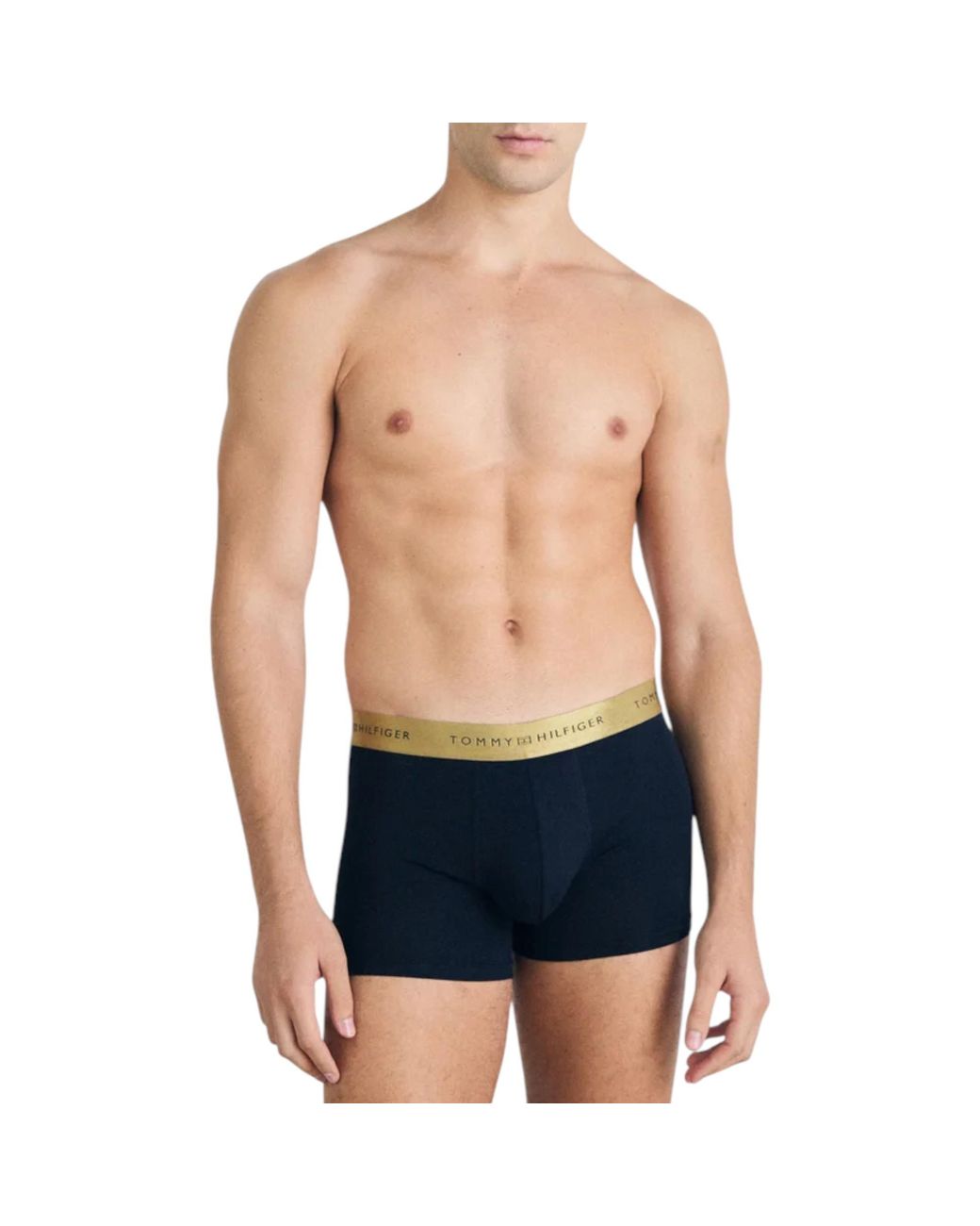 Tommy Hilfiger Blue Trunks 5 Pack Underwear Metalic Logo Stretch Classic Boxer for men