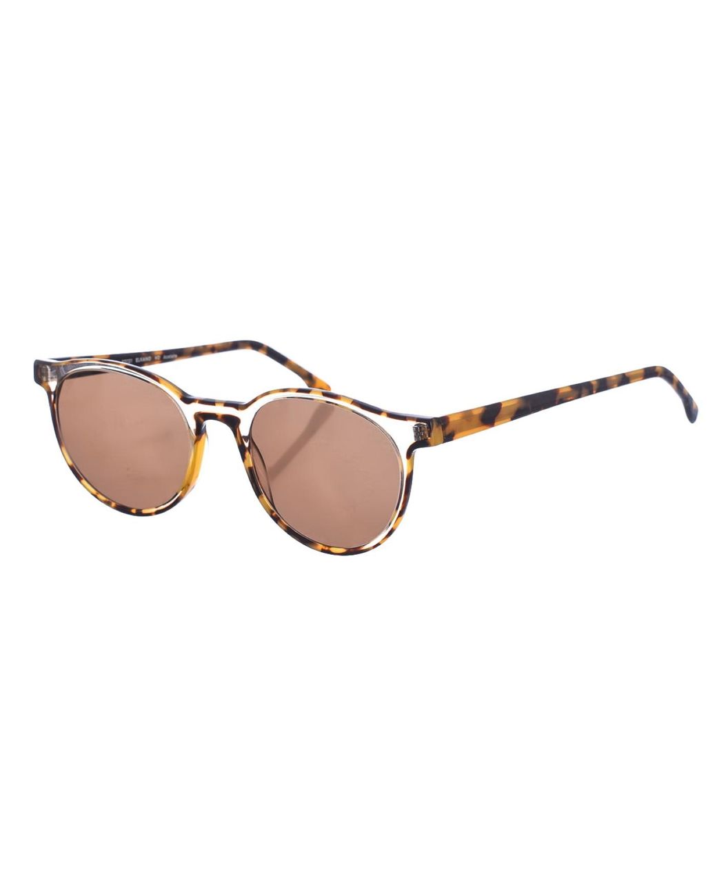 Zen Brown Z487 Pantos Shape Acetate Sunglasses