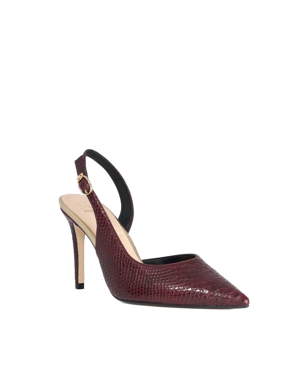 Dune Purple Ladies Carmellia