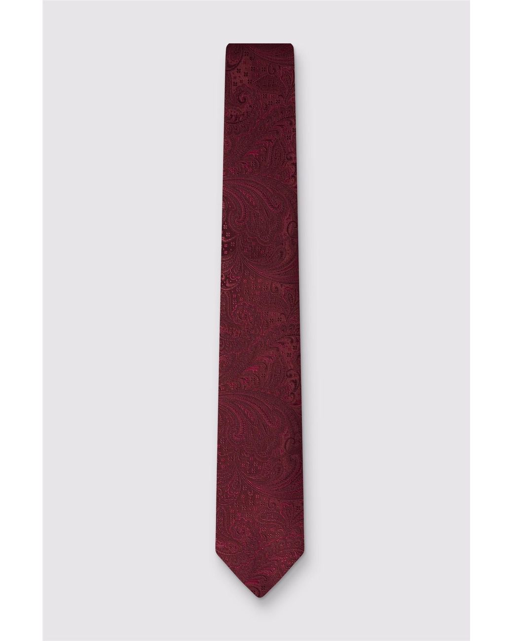 Antique Rogue Purple Paisley Tie for men