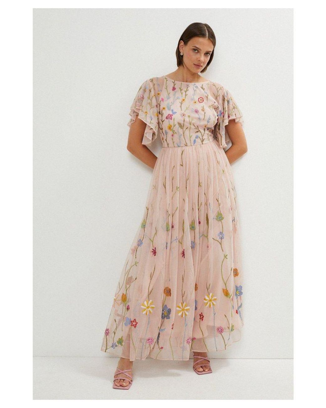Coast embroidered dress sale