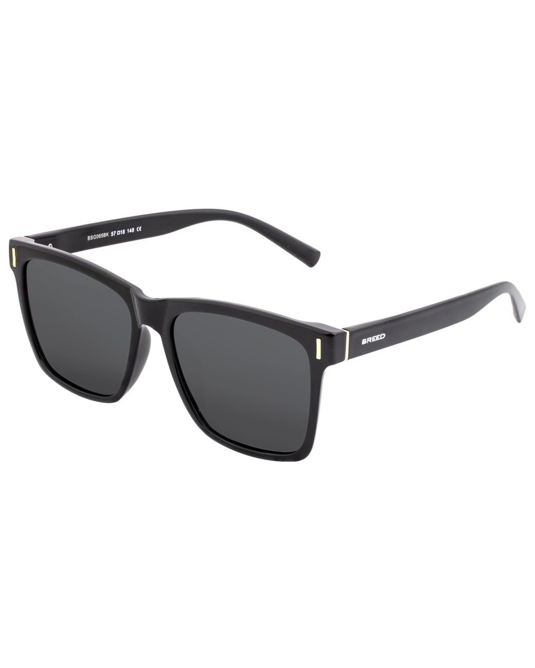 Breed Black Pictor Polarized Sunglasses for men