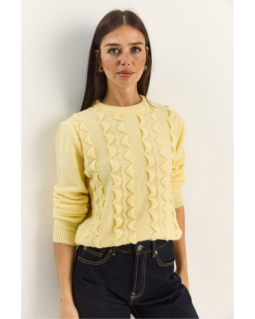 Bianco Lucci Yellow Textured Crew Neck Sweater