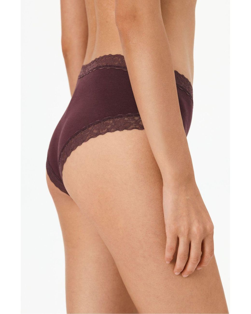 Penti Brown Comfort Cotton Hipster Briefs