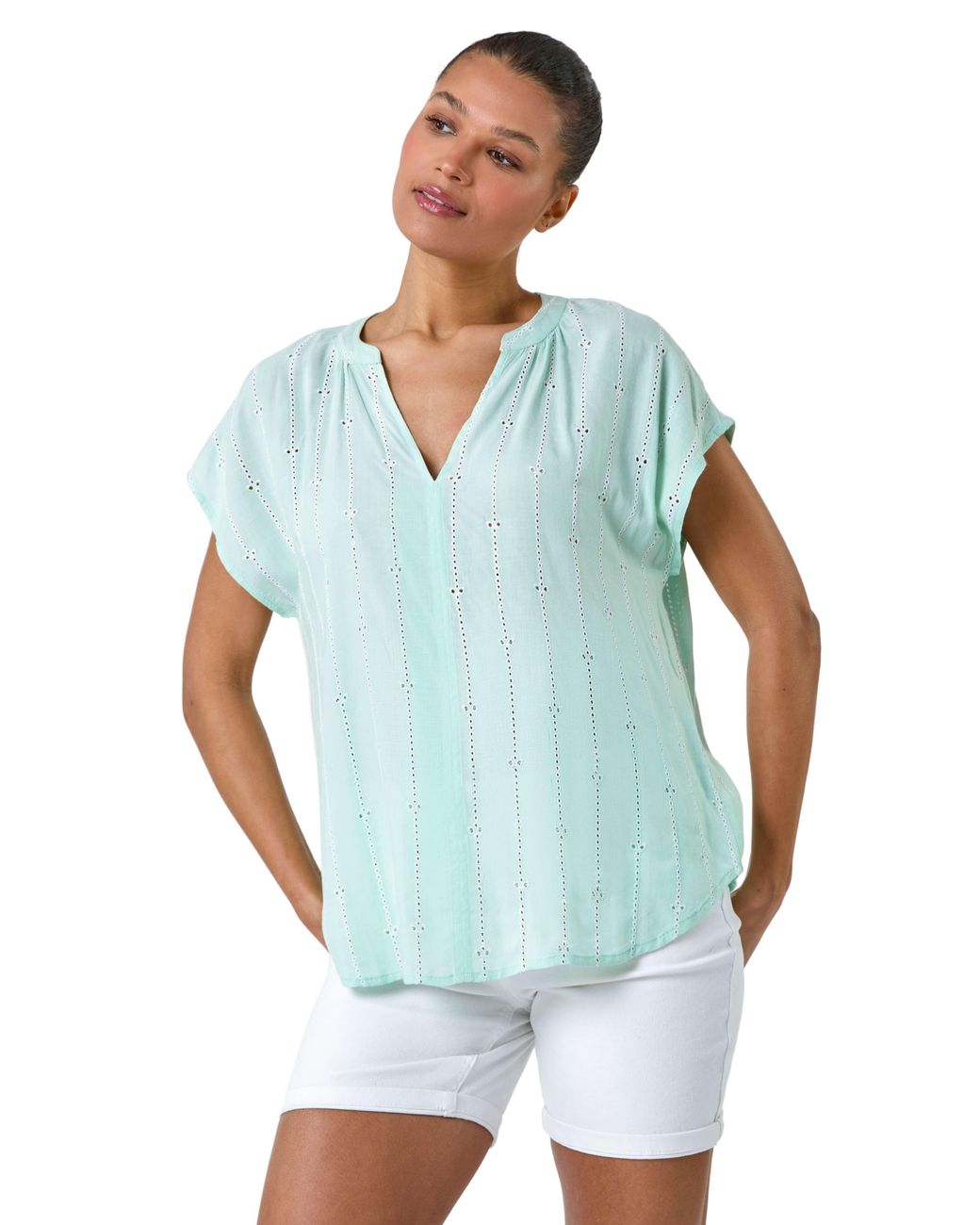 Roman Blue Embroidered Stripe Notch Neck Top