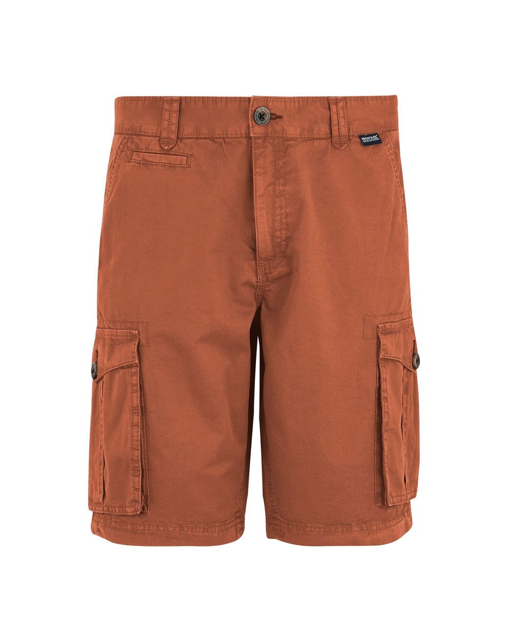 Regatta Brown Shorebay Ii Cargo Shorts (Brick) for men