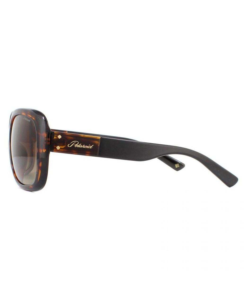 Polaroid Brown Butterfly Havana Gradient Polarized Sunglasses