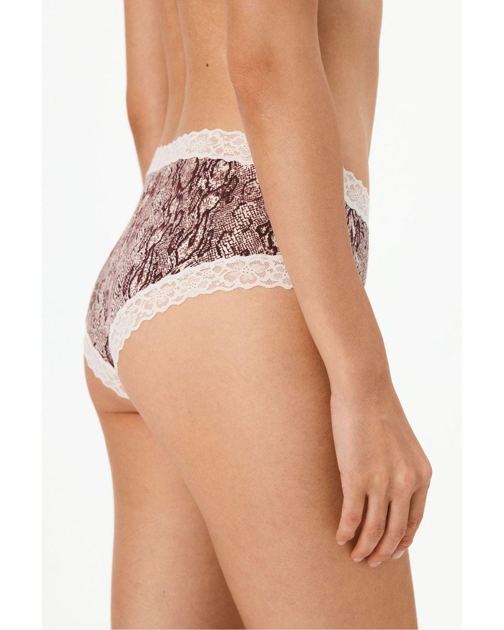 Penti Pink Comfy Cotton Cheeky Snake Print Hipster Briefs