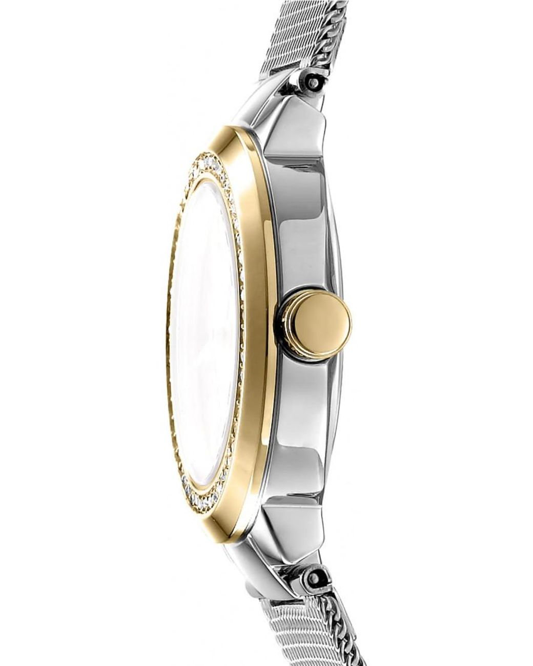 DKNY Metallic Dk1L024M0045 Ladies Watch