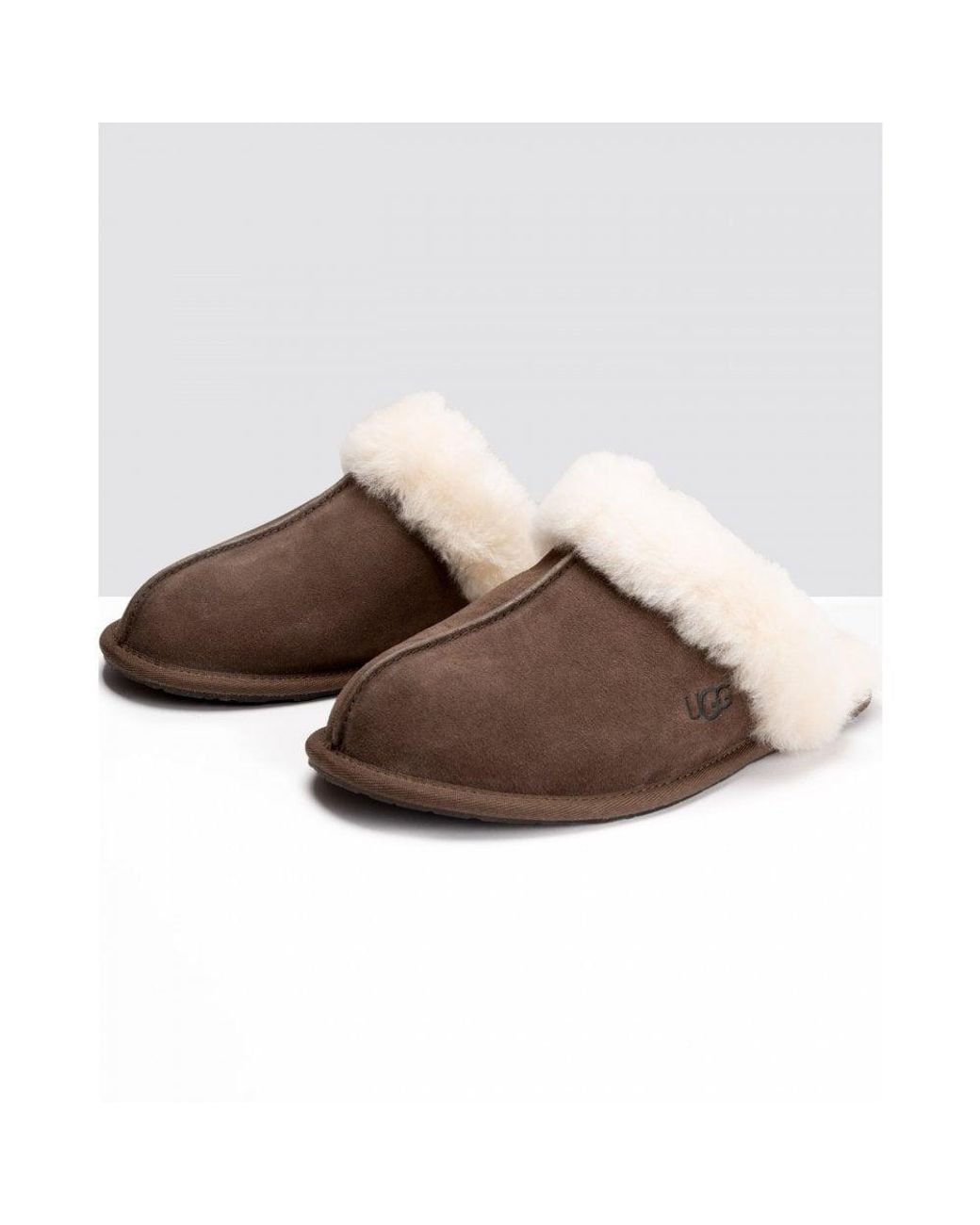 Ugg Brown Classic Scuffette Slippers