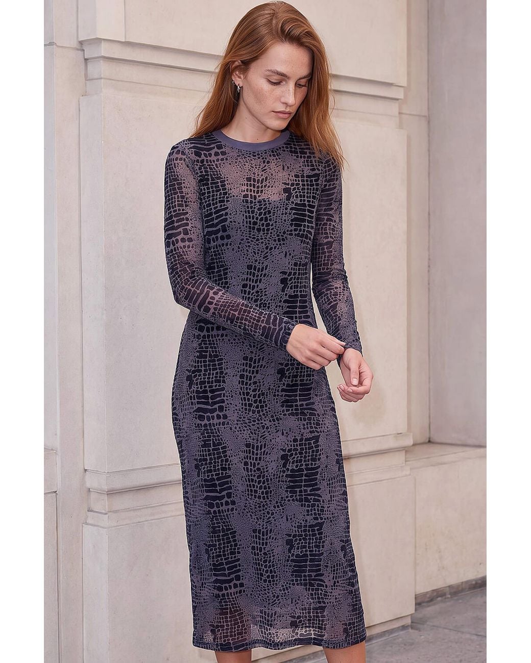 Roman Blue Animal Print Mesh Dress