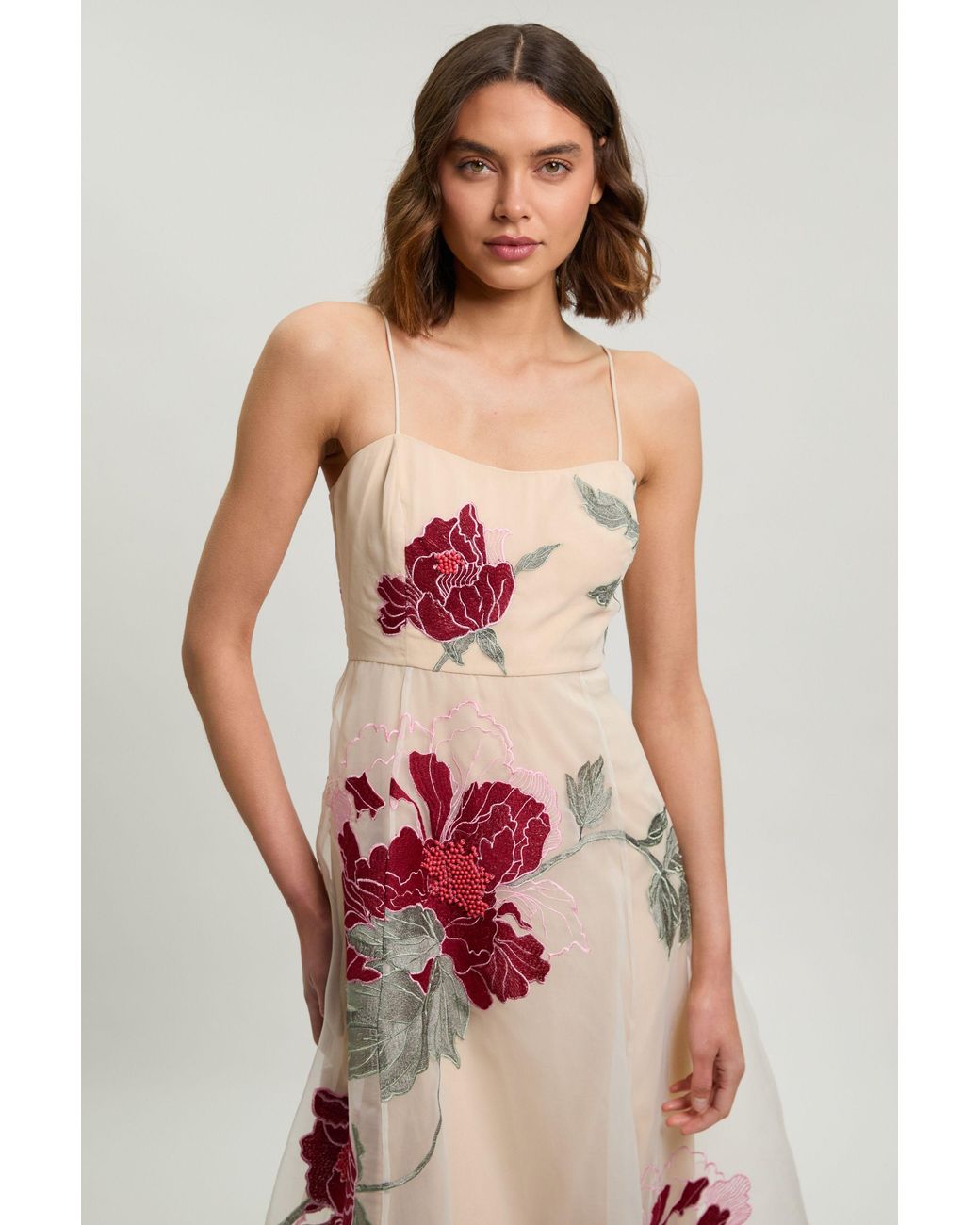 Karen Millen Natural Floral Embroidered Organza Bandeau Dress