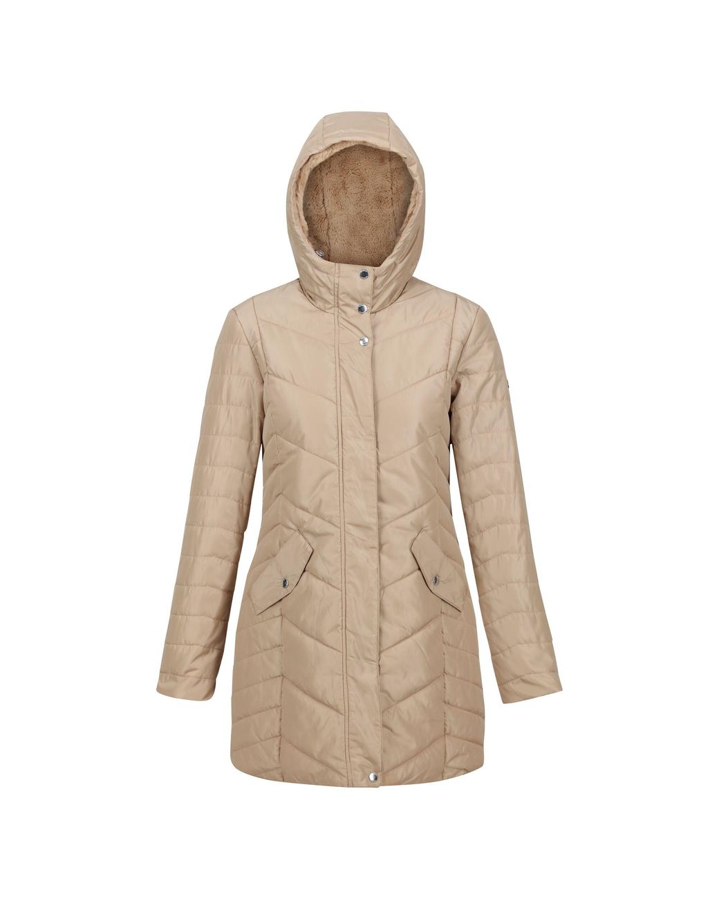 Regatta Ladies Panthea Insulated Padded Hooded Jacket (Barleycorn
