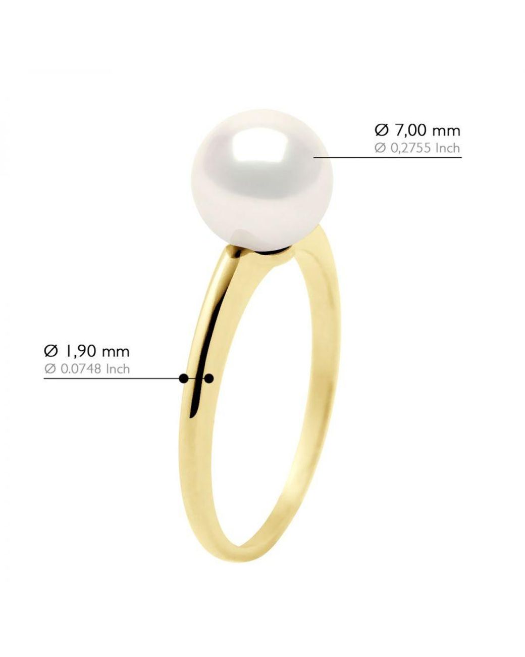 Ateliers Saint Germain Metallic Ring