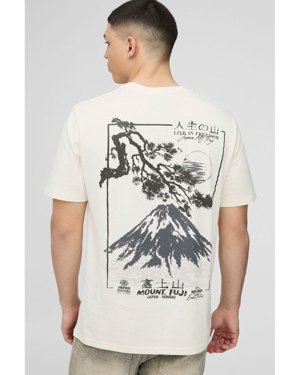 BoohooMAN Gray Regular Fit Mountain Graphic T-Shirt for men