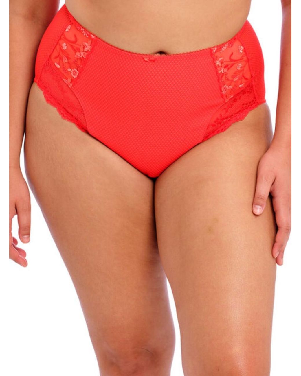 Elomi Red Charley High Rise Brief