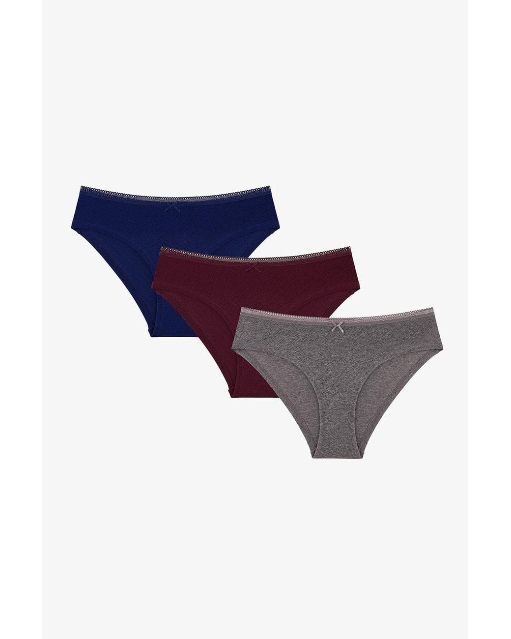 Penti Purple Elegance Pointel Hipster Briefs