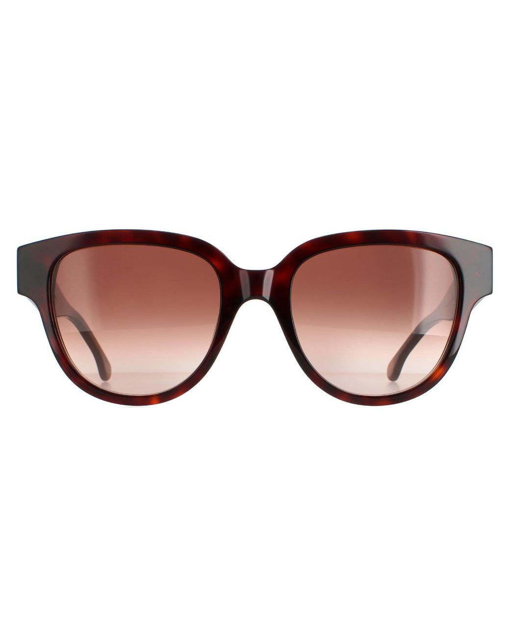 Paul Smith Brown Round Dark Turtle Gradient Pssn047 Darcy
