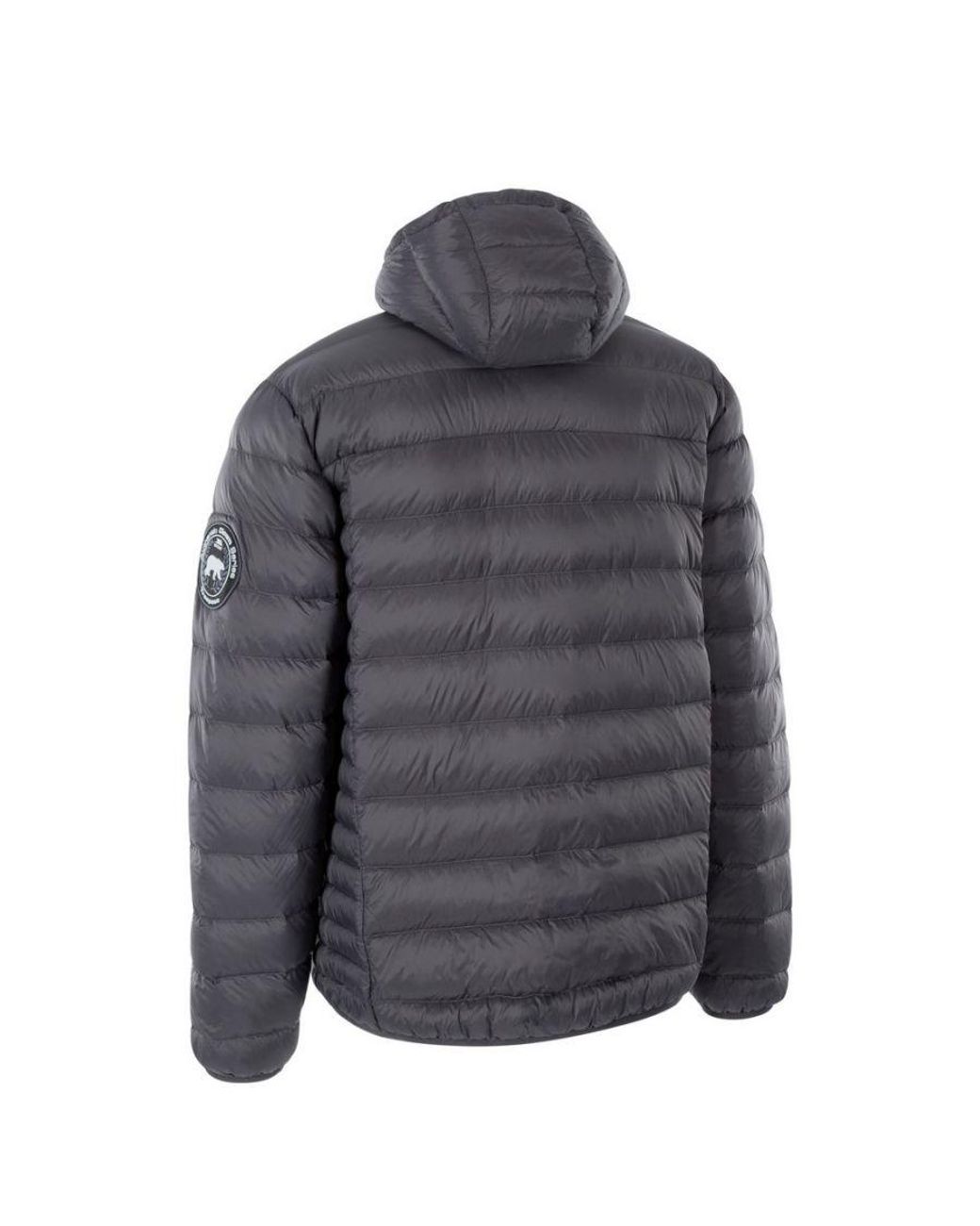 Trespass Gray Whitman Ii Down Jacket /Burnt) for men