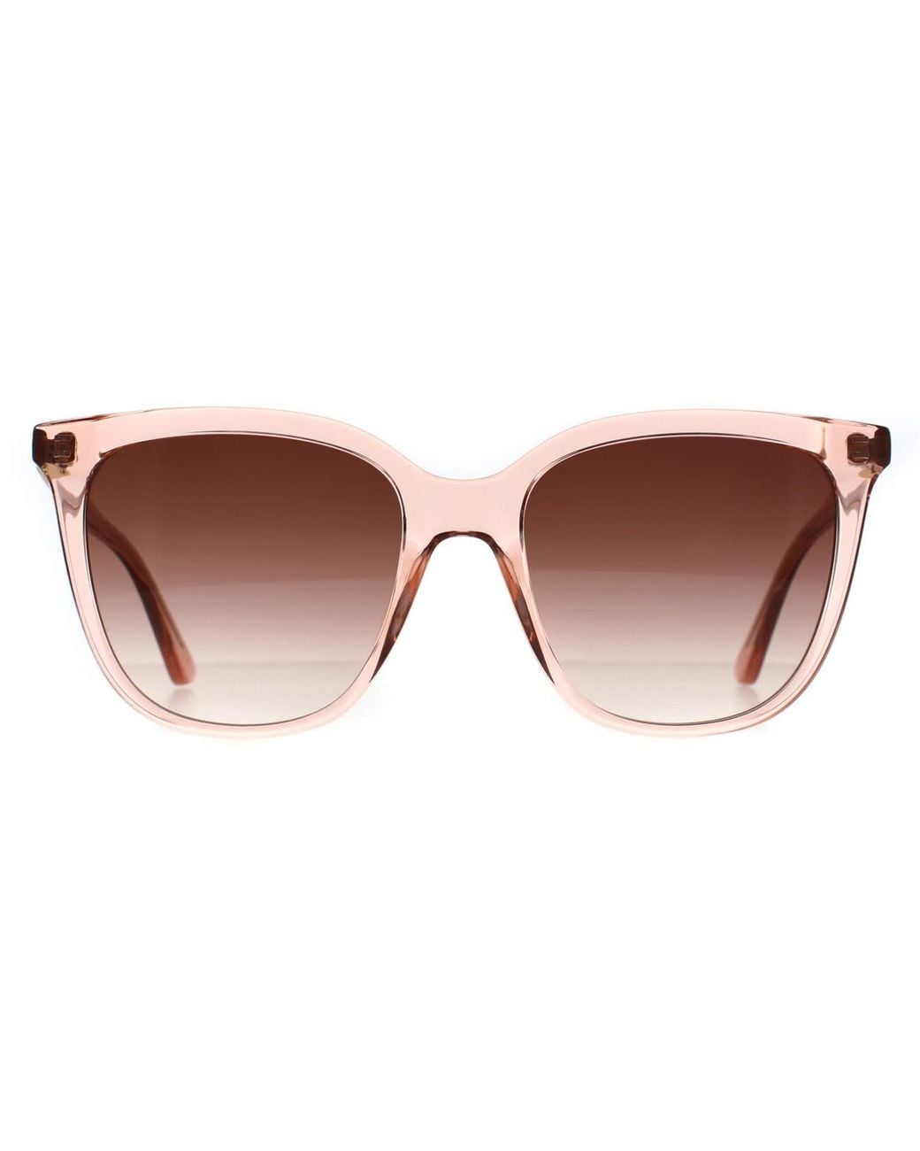 Calvin Klein Brown Cat Eye Transparent Rose Peak Gradient Ck23506S