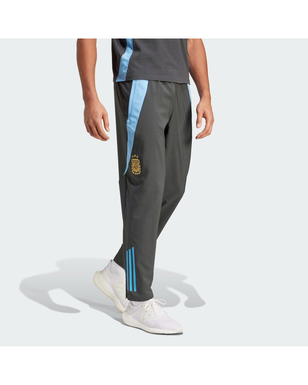 Adidas Originals Blue Argentina Tiro 24 Competition Presentation Pants for men