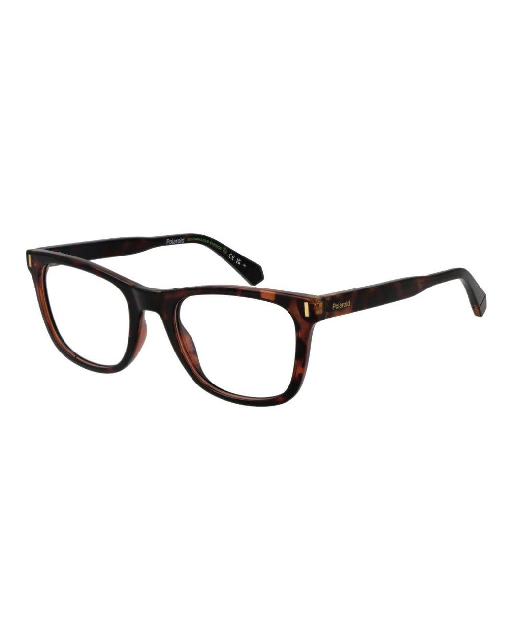 Polaroid Black Brown Polyester Glasses (frames)