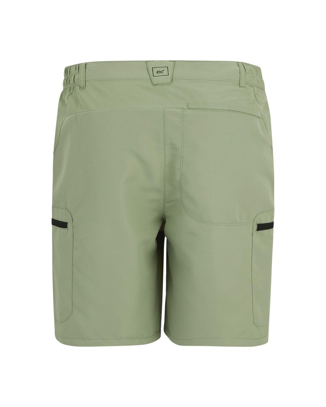 Regatta Green Leesville Iii Shorts (Light Sage) for men